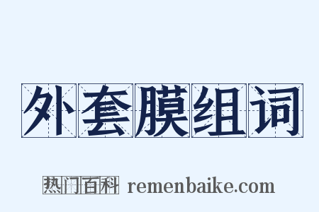 外套膜组词是什么意思的图片